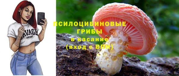 скорость Белокуриха