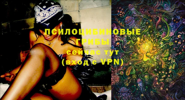 MDMA Беломорск