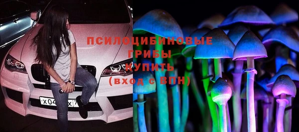 скорость Белокуриха