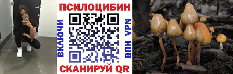 Галлюциногенные грибы мицелий  Купить  Соль-Илецк 