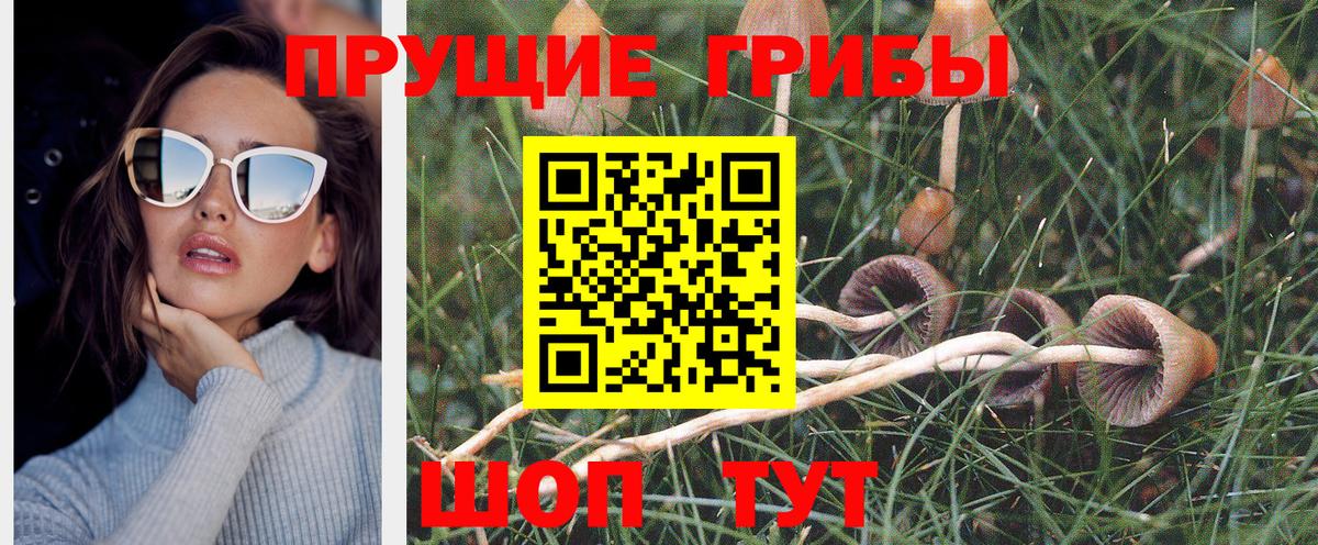 Галлюциногенные грибы GOLDEN TEACHER  Вход с VPN  Соль-Илецк 