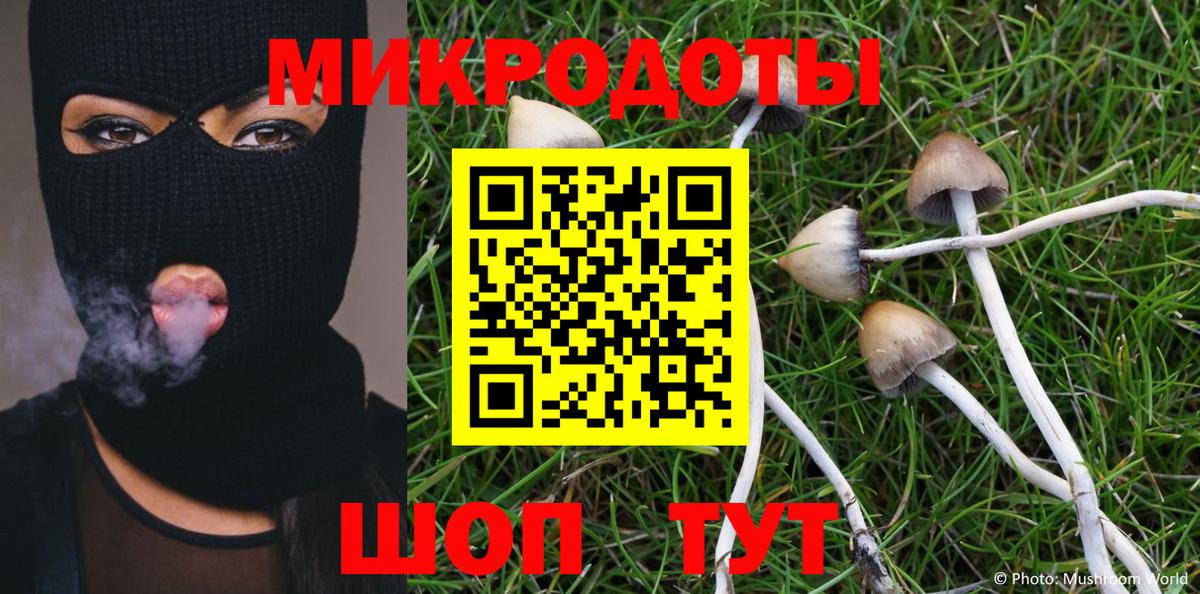 Псилоцибиновые грибы GOLDEN TEACHER Соль-Илецк