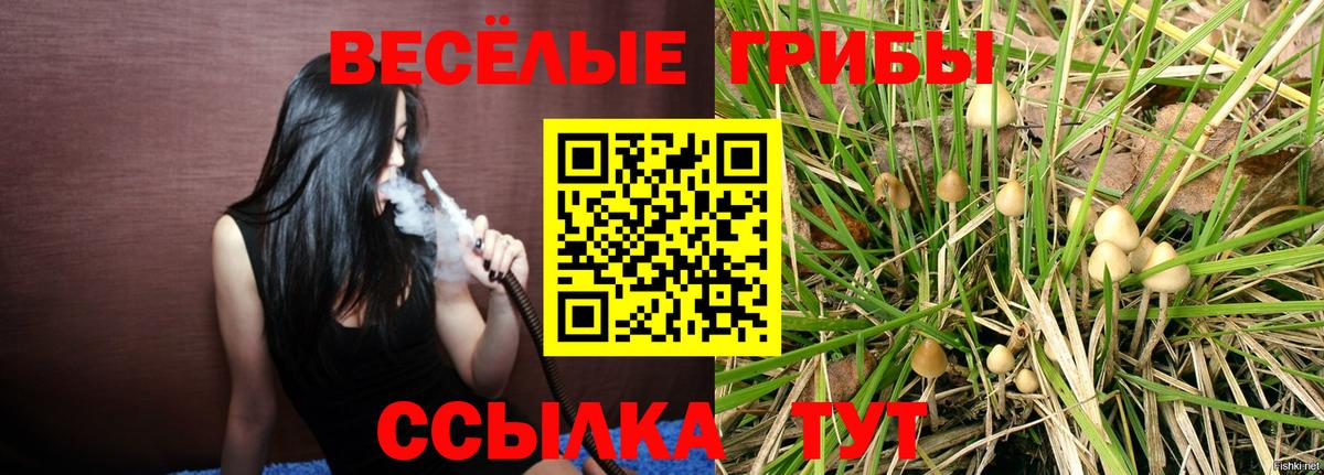 Галлюциногенные грибы GOLDEN TEACHER  Вход с VPN  Соль-Илецк 
